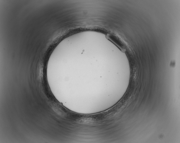 X0000116790685201001081314