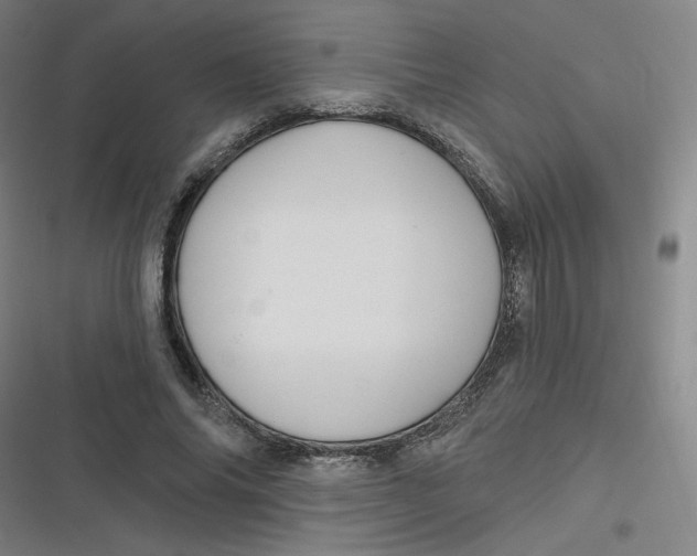 X0000116790686201001081314