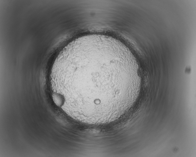 X0000116790687201001081314