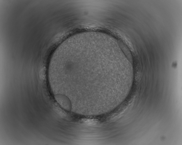 X0000116790689201001081314