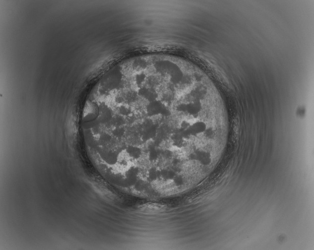 X0000116790691201001081314