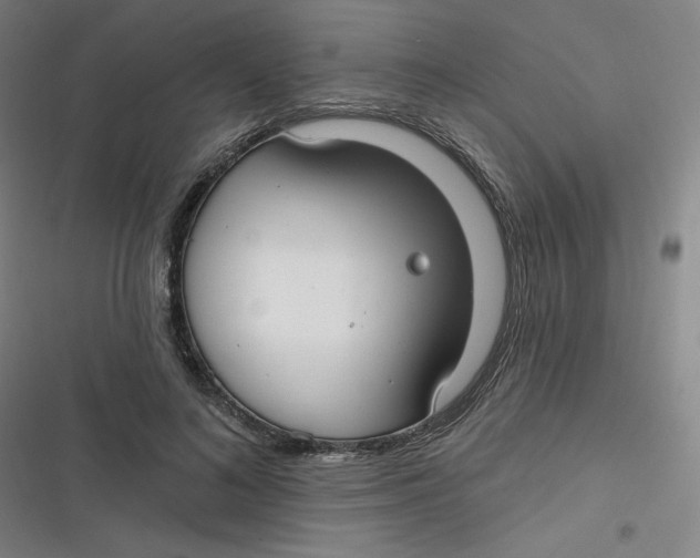 X0000116790692201001081314