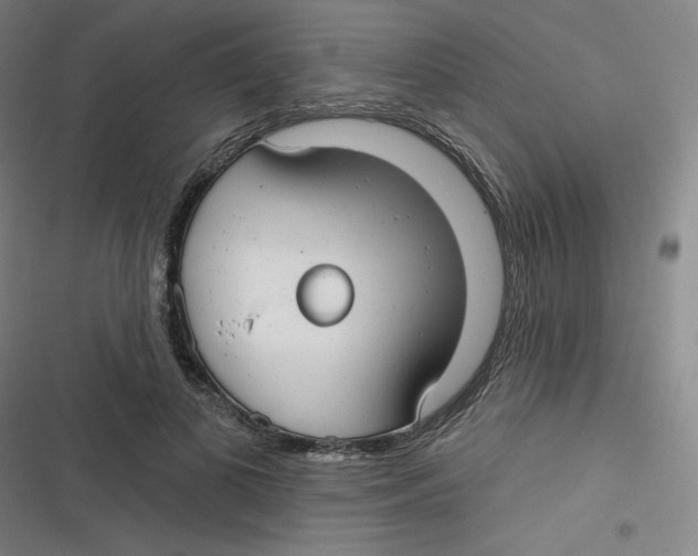 X0000116790693201001081314