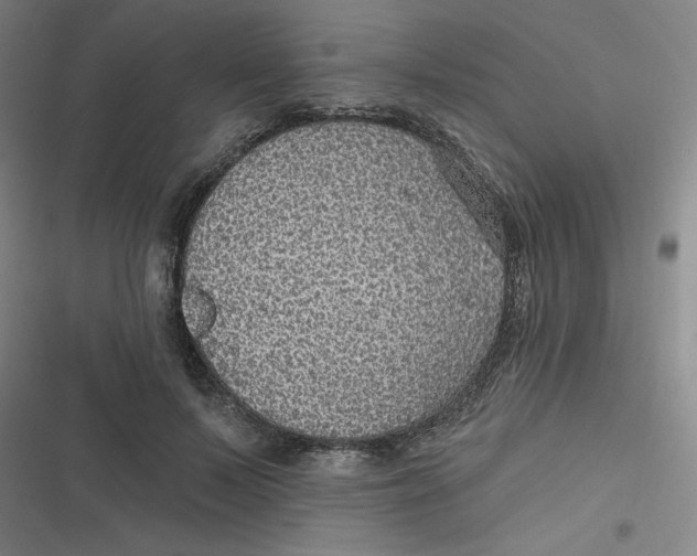 X0000116790695201001081314