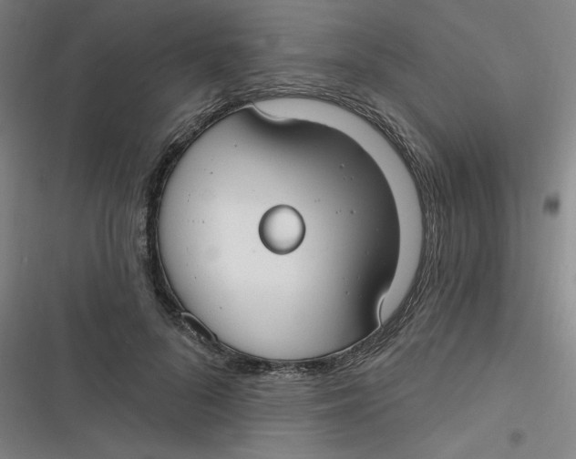 X0000116790696201001081314