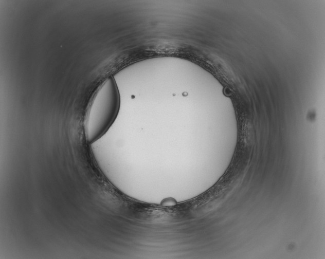 X0000116790697201001081314