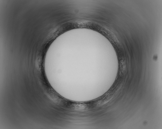 X0000116790698201001081314