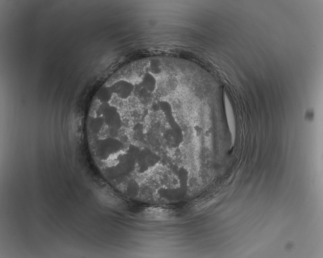 X0000116790699201001081314