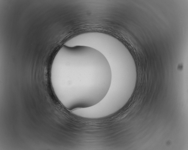 X0000116790700201001081314