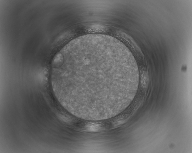 X0000116790701201001081314