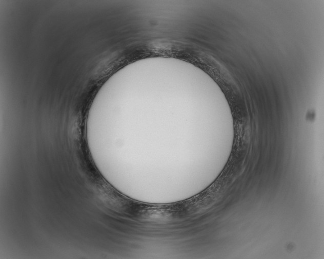 X0000116790702201001081314