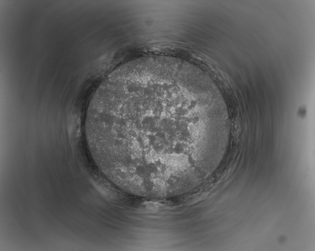 X0000116790703201001081314