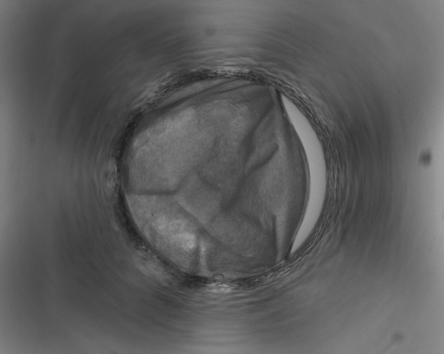 X0000116790704201001081314