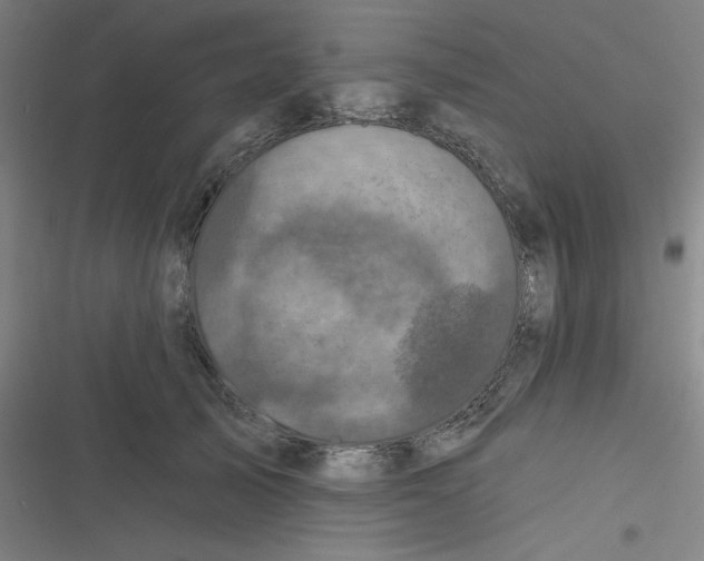 X0000116790705201001081313