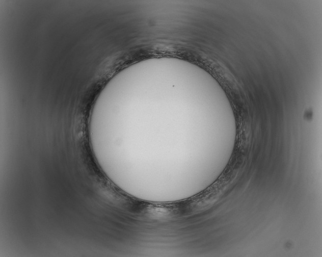 X0000116790706201001081313