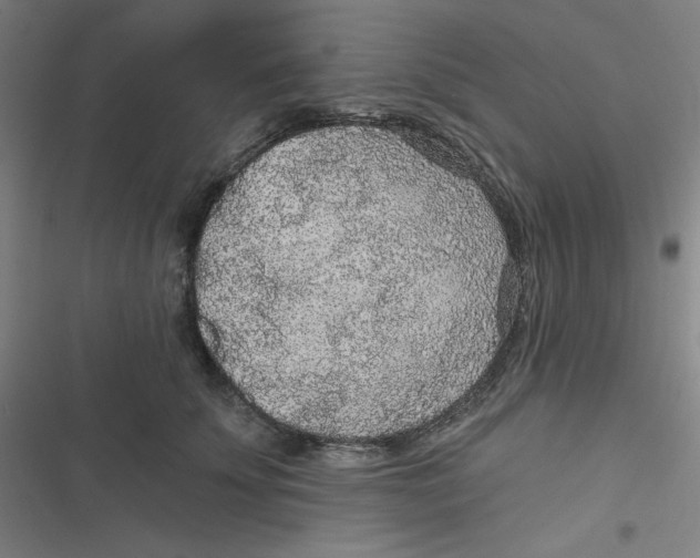 X0000116790707201001081313