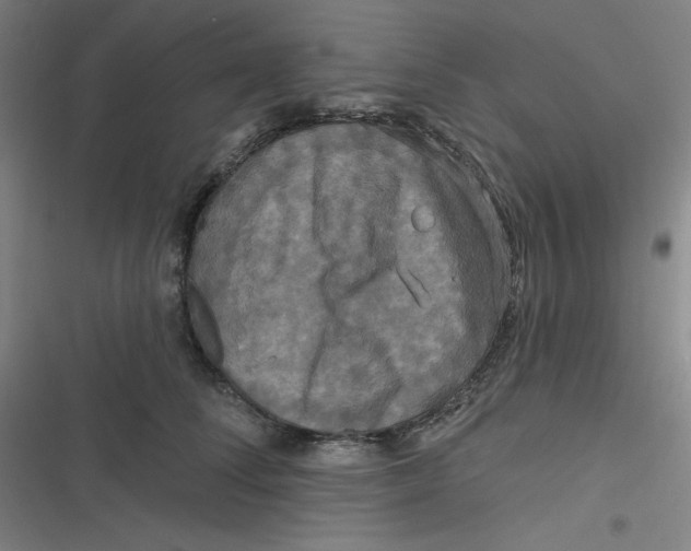 X0000116790708201001081313