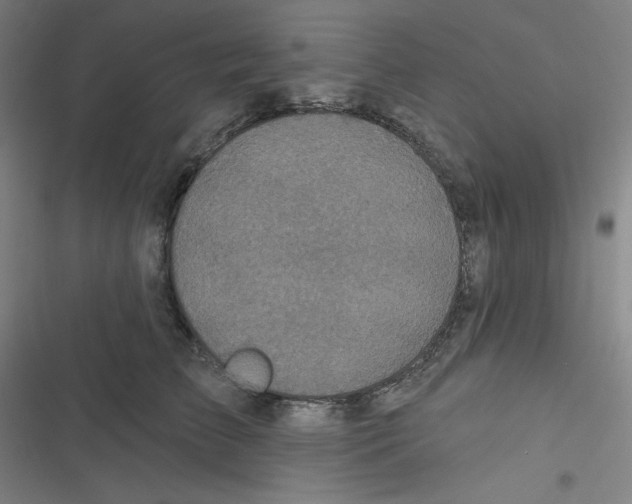 X0000116790709201001081313