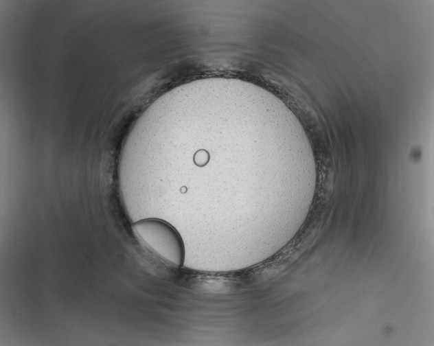 X0000116790710201001081313