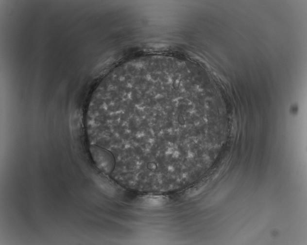 X0000116790711201001081313