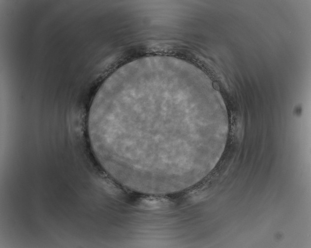 X0000116790712201001081313