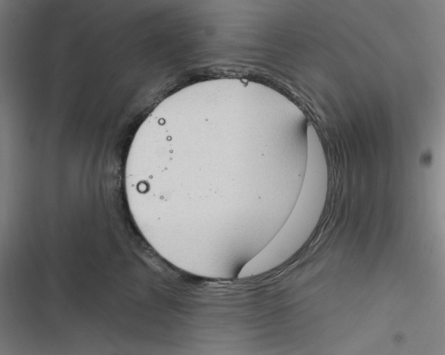 X0000116790713201001081313