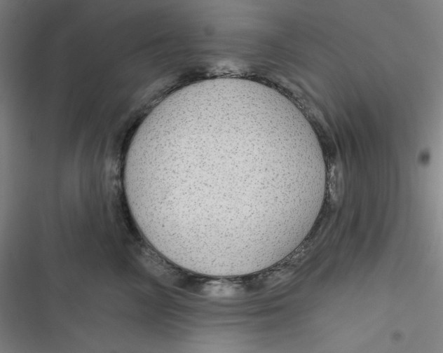 X0000116790714201001081313