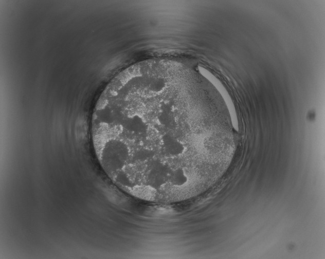 X0000116790715201001081313