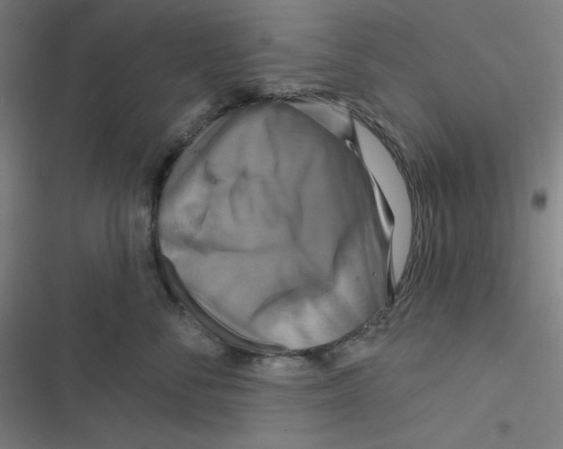 X0000116790716201001081313