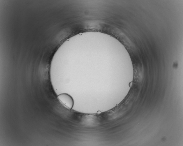 X0000116790717201001081313