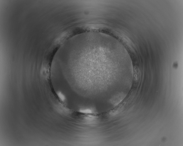 X0000116790718201001081313