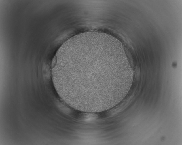 X0000116790719201001081313