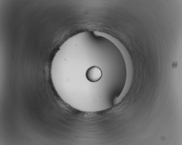 X0000116790720201001081313