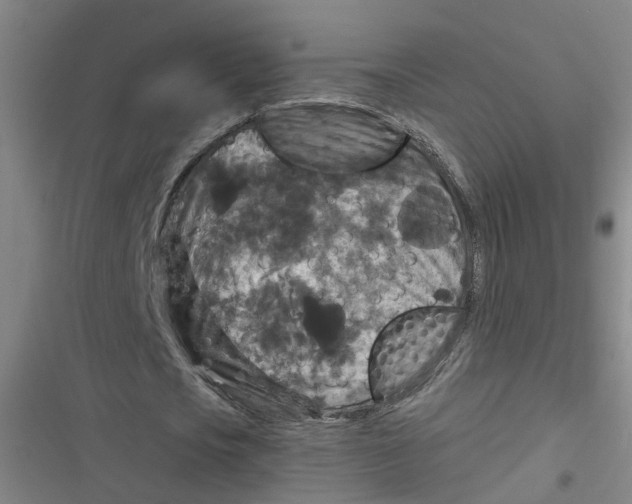 X0000116790721201001081313