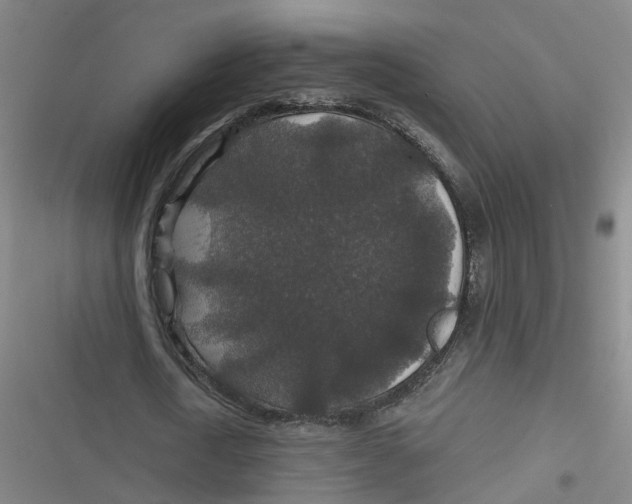 X0000116790722201001081313