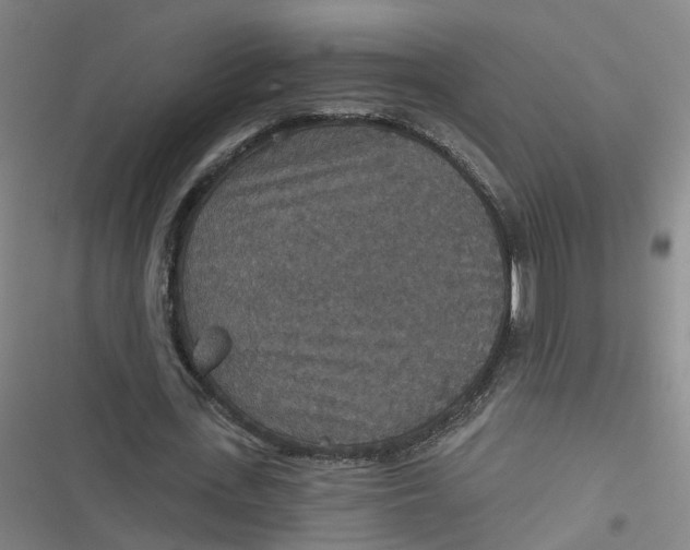 X0000116790723201001081313