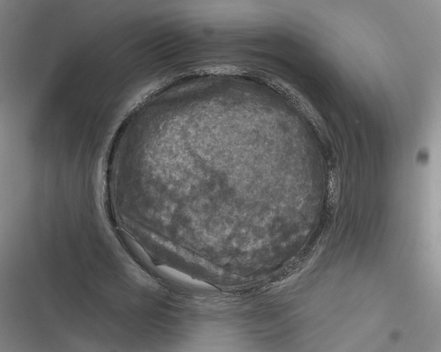 X0000116790725201001081313