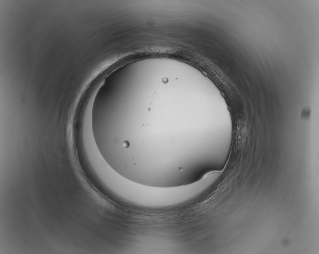 X0000116790726201001081313