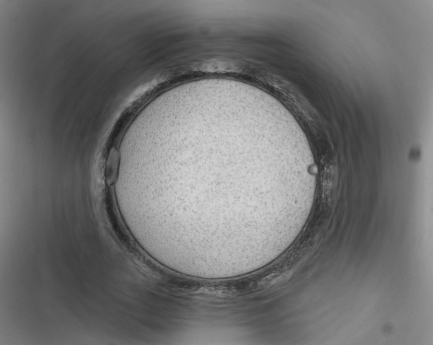 X0000116790727201001081313