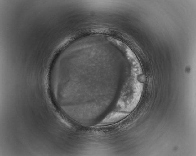 X0000116790729201001081313