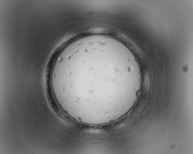 X0000116790730201001081313