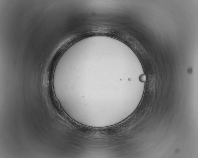 X0000116790731201001081313