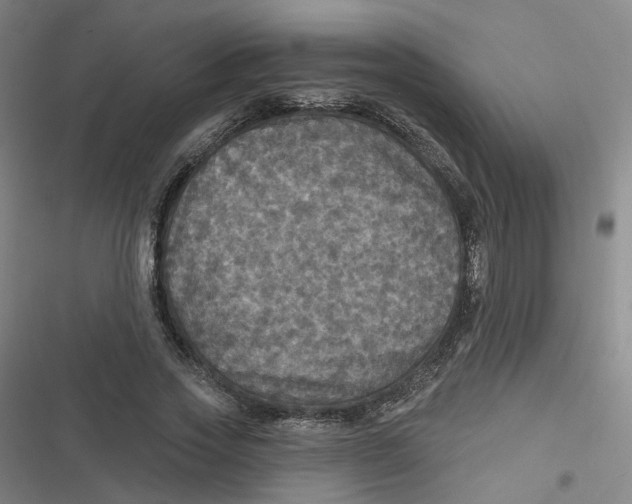 X0000116790733201001081313