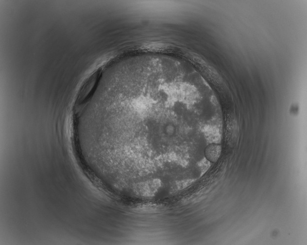 X0000116790734201001081313