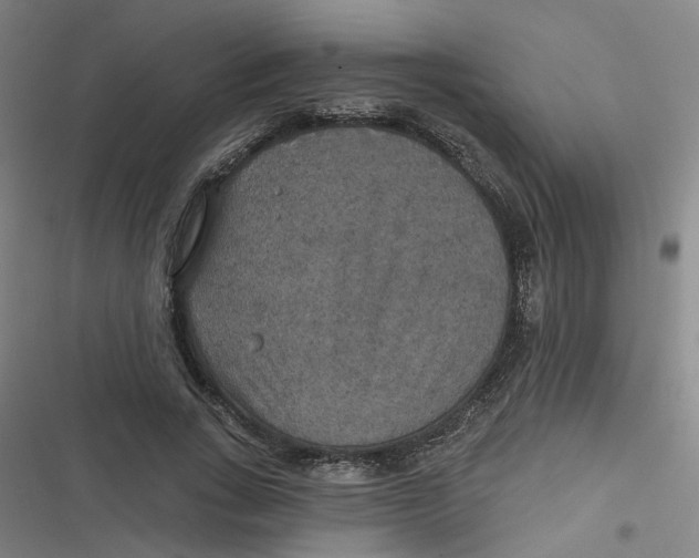 X0000116790735201001081313