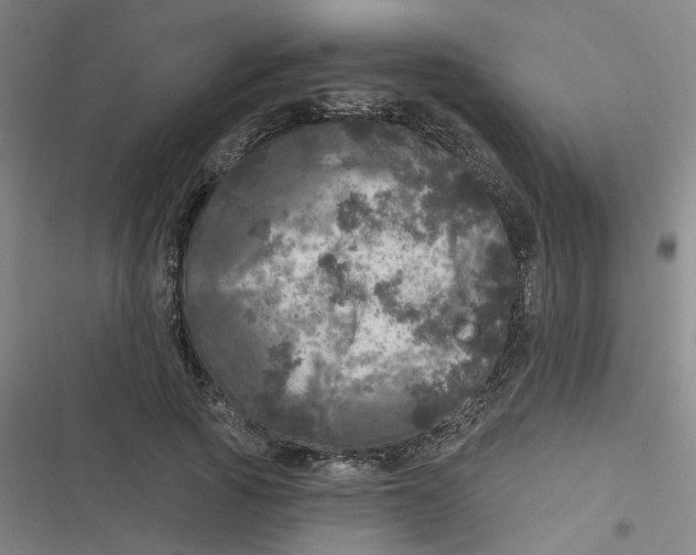 X0000116790737201001081313