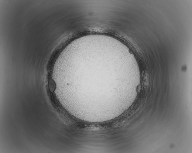 X0000116790738201001081313