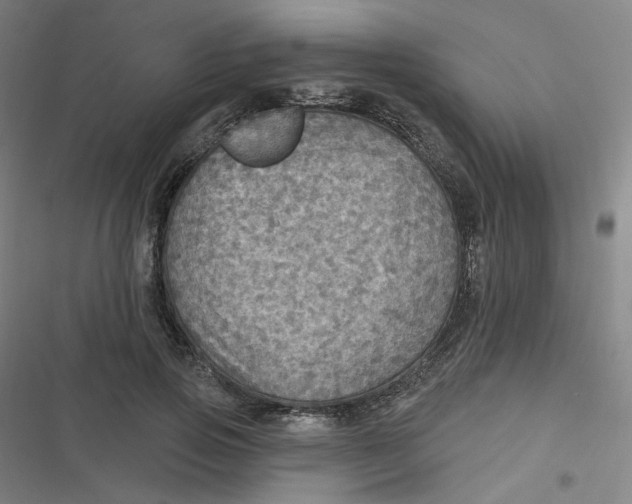 X0000116790741201001081313