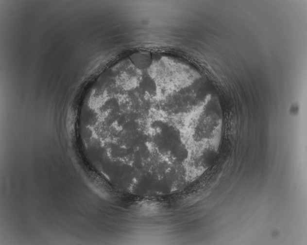 X0000116790742201001081313