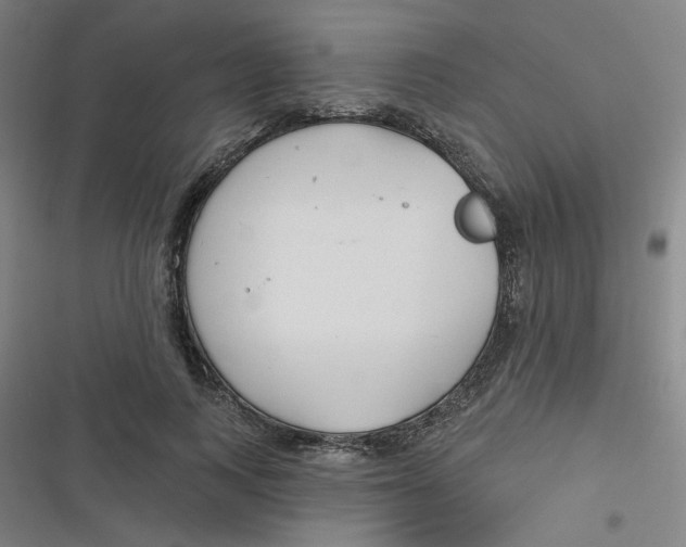 X0000116790743201001081313